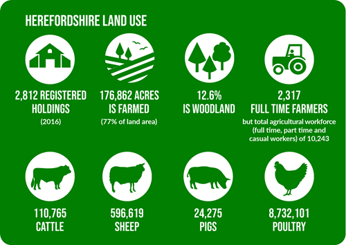 Herefordshire Land Use; 2,812 registered holdings;176,862 acres of farmed land;12.6% woodland;2,317 full time farmers;110765 cattle;596,619 sheep;24,275 pigs;8,732,101 poultry