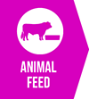 Animal feed