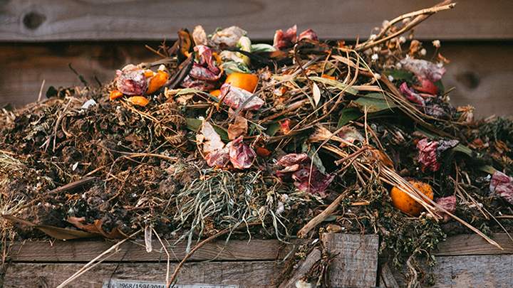 Colourful compost heap