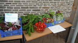 Garden fruit and vegetables produced at Staunton-on-Wye Primary school
