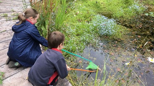 Children fishing the pond in Staunton-on-Wye Primary School's wildlife garden