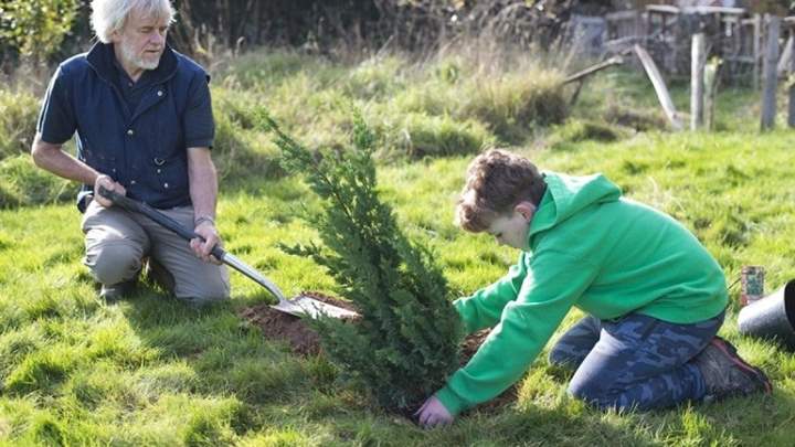 Chris Frith and Finn planting a conifer