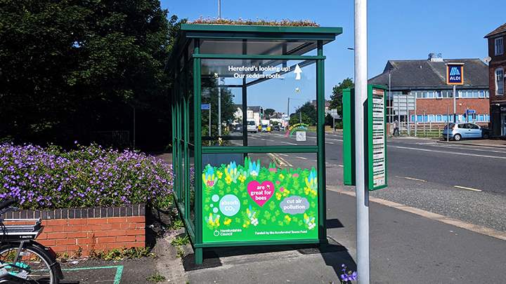 The new sedum roofed bus shelter at the Victoria stop on Whitecross road 