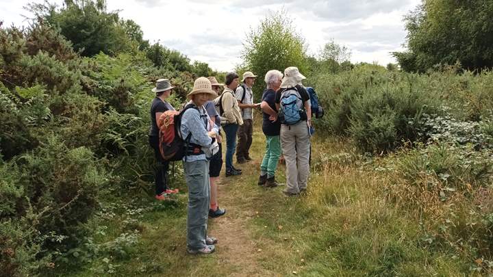 Group of volunteers during the botanical ID training at Ewyas Harold Common