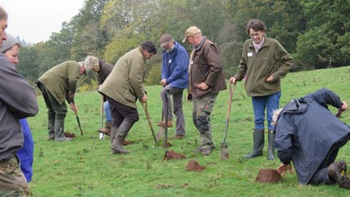 A group of people in coats in a field holding shovels, some digging