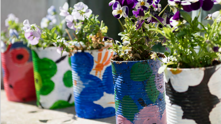 Painted cans holding herb plants