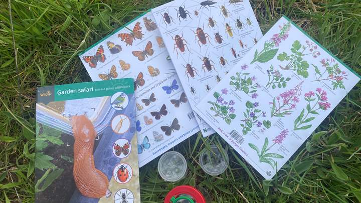 Insect ID sheets and bug magnifying pots lie on grass