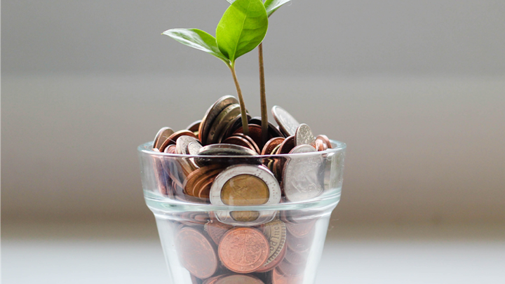 coins in the flower pot
