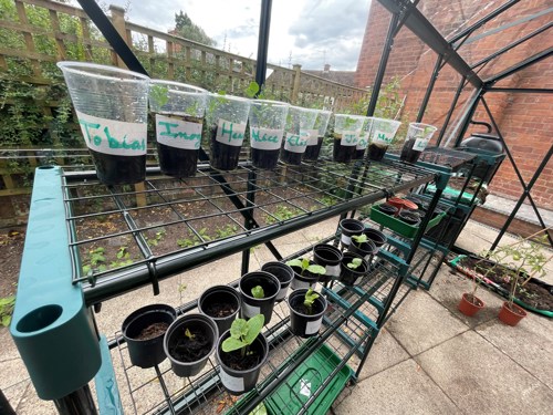 Royal Horticulture Society's campaign for school gardening