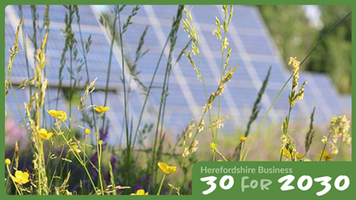 30 for 2030 ballingham-court-farm