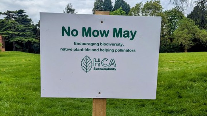 No Mow May Success for HCA