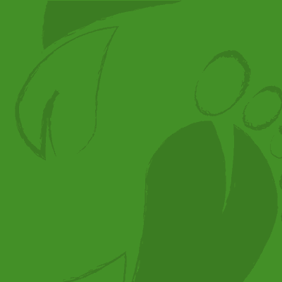 Site Banner