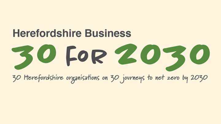 30 For 2030 Logo