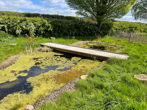 small bridge over a pound