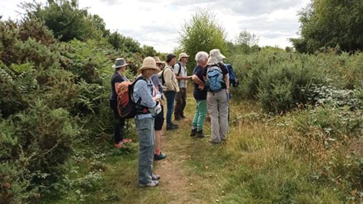 Ewyas Common Botanical Id Training
