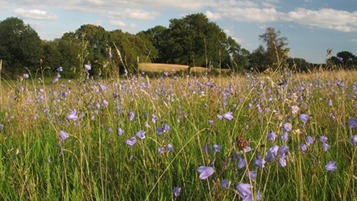 Birches Farm Nature Reserve