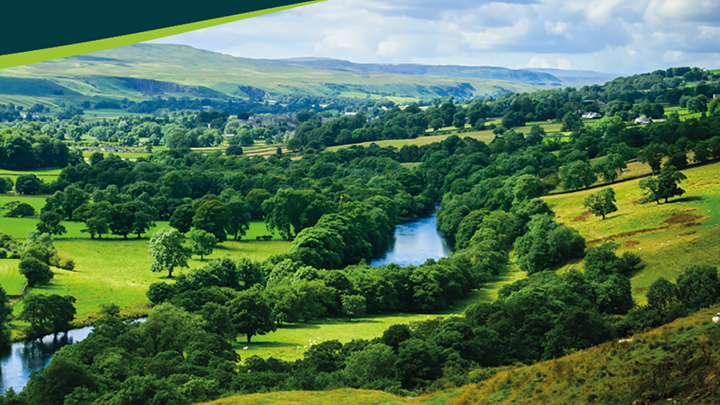 Wye Funding News