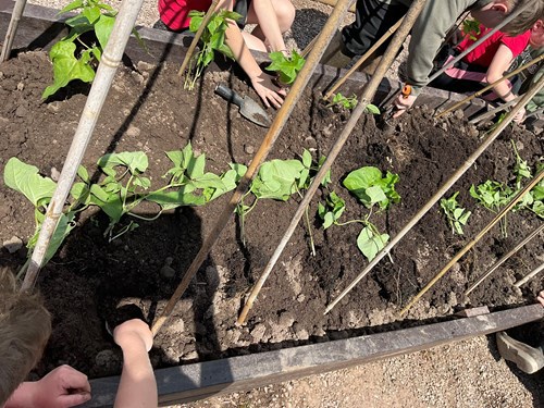 People planting plants